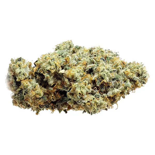 Image for Frosted Fruit Cake x Sunset Sherb