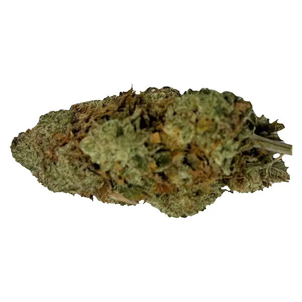 Image for Magik Dragon