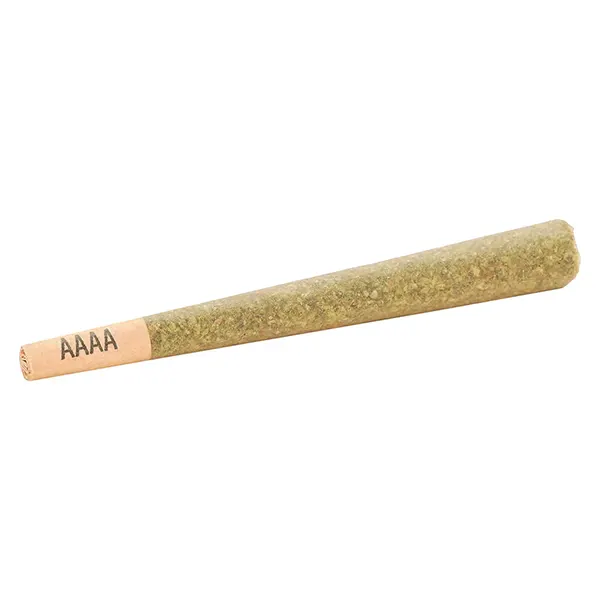Image for Gelato33 Pre-Roll