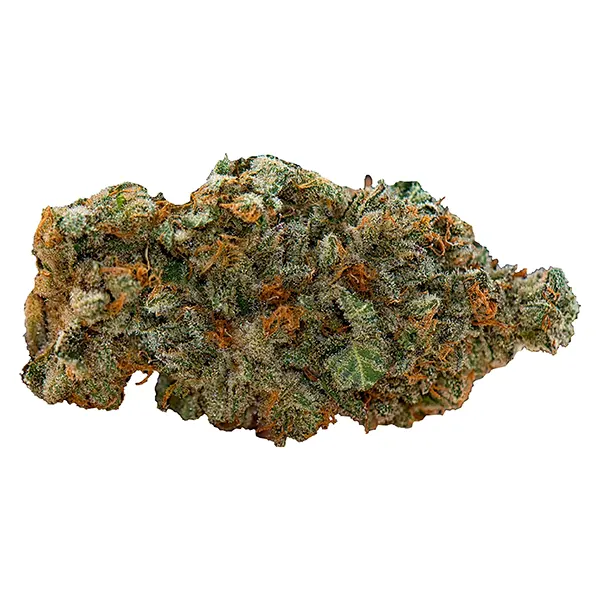 Image for Girl Scout Cookies