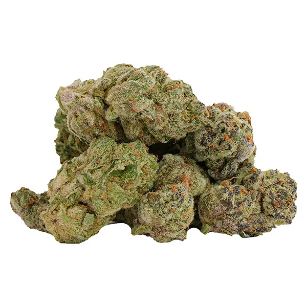 Image for Glitterbomb X Rainbow Cheddar 5