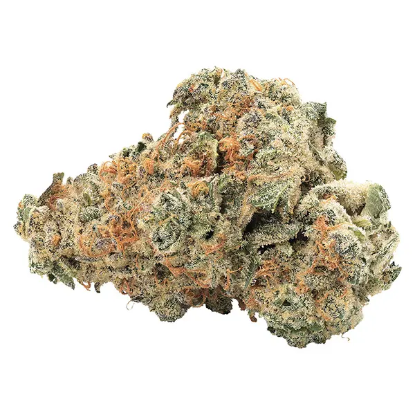 Image for GMO Kush Indica