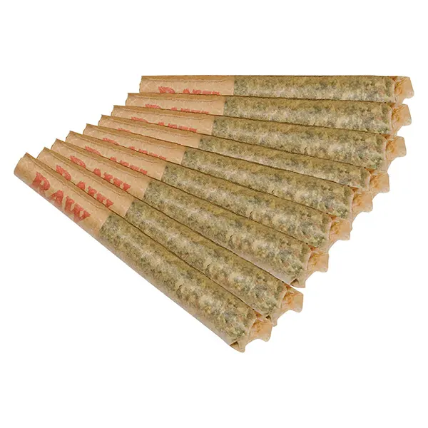 Image for Goofiez Pre-Roll