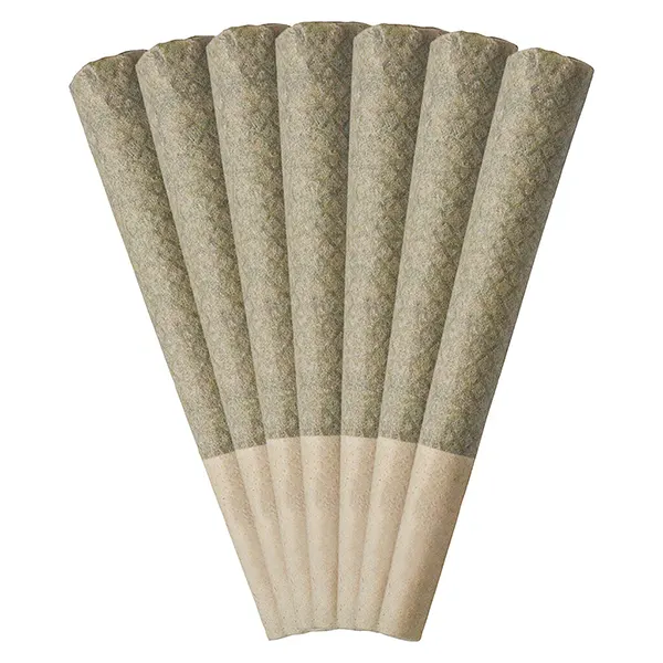 Image for Guava Jam Pre-Roll