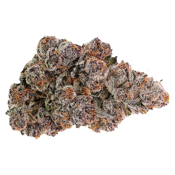 Image for Halli Berri