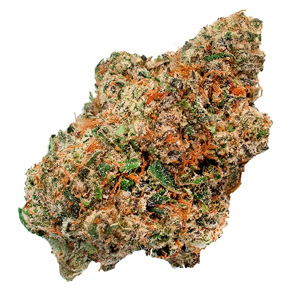 Image for Head Stash