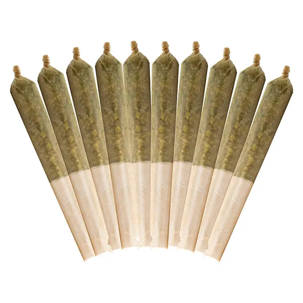 Image for Highbrid Pre-Roll