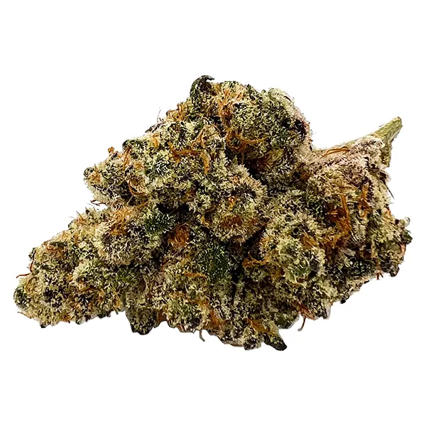 Image for Rotational 1 - High Ladies