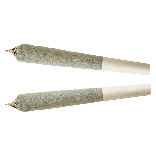Indica Pre-roll (Pre-Rolls) by XPLOR