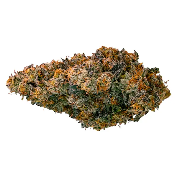 Image for Interstellar Stash