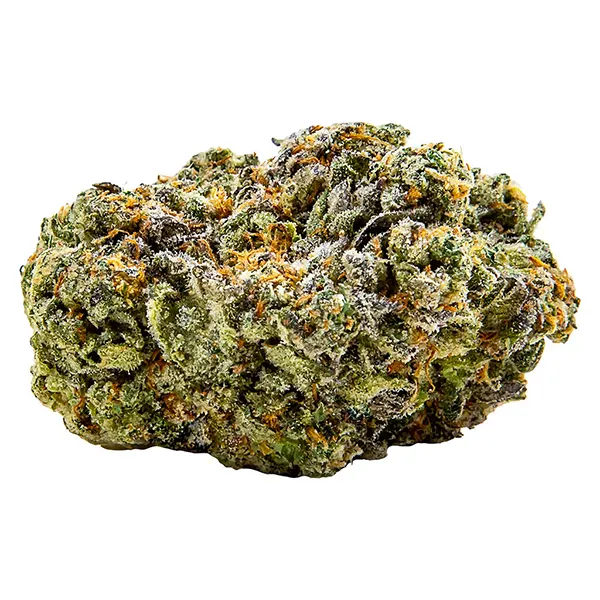 Image for Jack Herer Jamboree Budskis