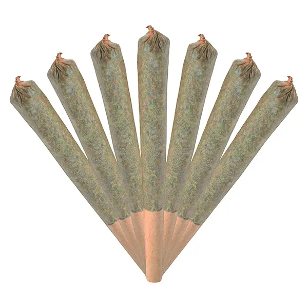 Image for Jack Herer Jamboree Smiggies Pre-roll