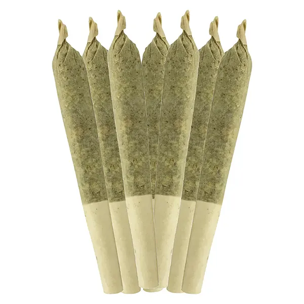 Image for Key Lime Pie Pre-Roll