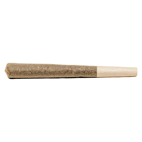 Image for Killa Kiwi Distillate Infused Pre-Roll