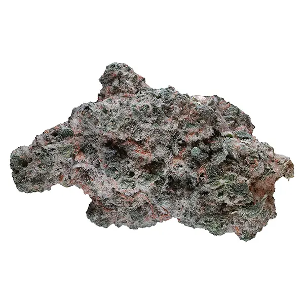 Bud image for Lemon Diesel, cannabis all products by 1964