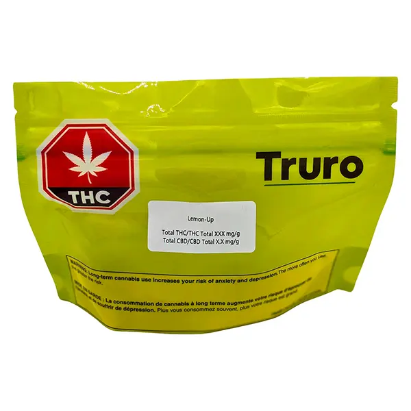 Lemon-Up (Dried Flower) by Truro