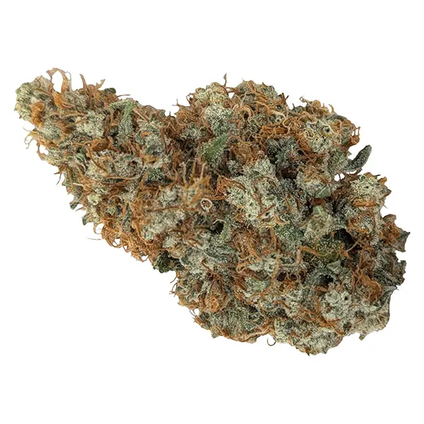 Image for Limited Reserve Sativa