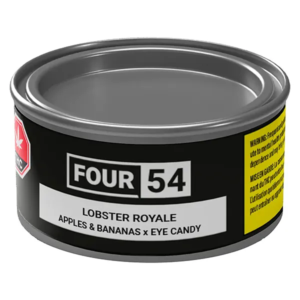 Lobster Royale (Dried Flower) by Four54