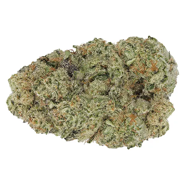 Bud image for Mary-go-round, cannabis top rated in  by ONO