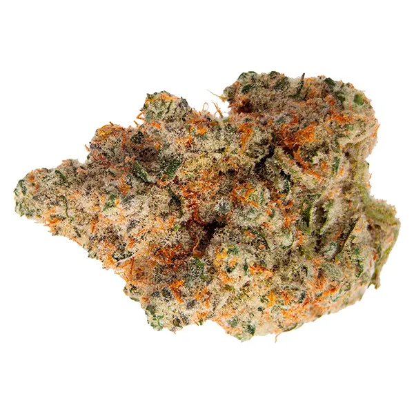 Image for Masterpiece