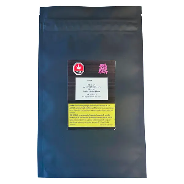 Milkyway (Dried Flower) by Far Out Crops