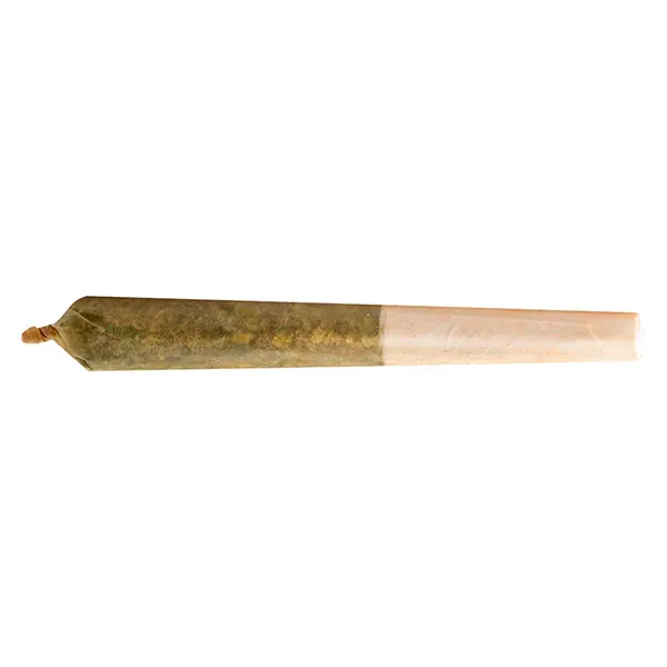 Image for Party Pack - Rotational Pre-Roll, cannabis top rated in all products by Purplefarm