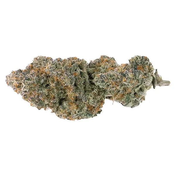 Bud image for Modified Supersonic, cannabis all products by Northern Canna
