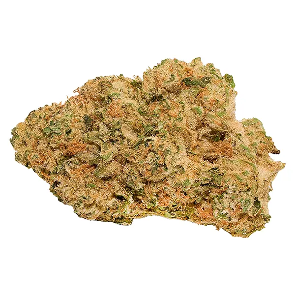 Image for Neon Lotus