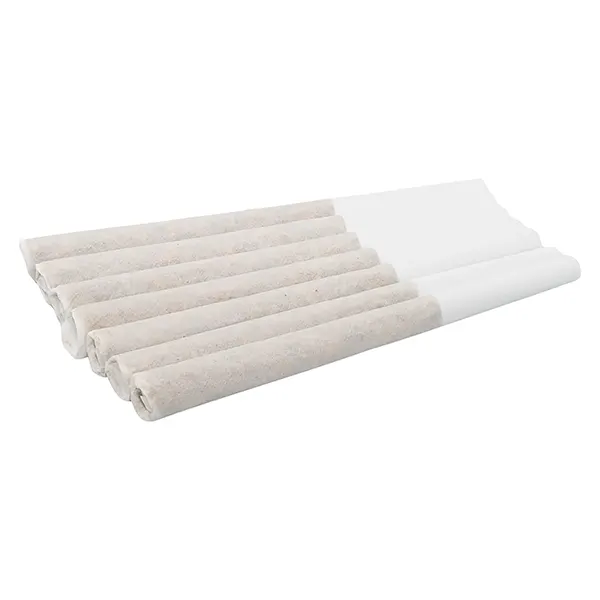 Image for Neon Lotus Pre-Roll