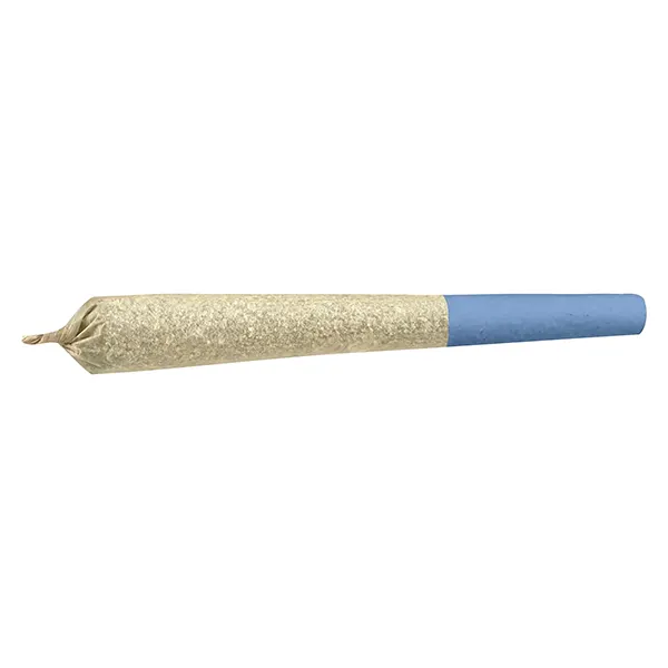 Image for Neon Rush Bolt Distillate Infused Pre-Roll