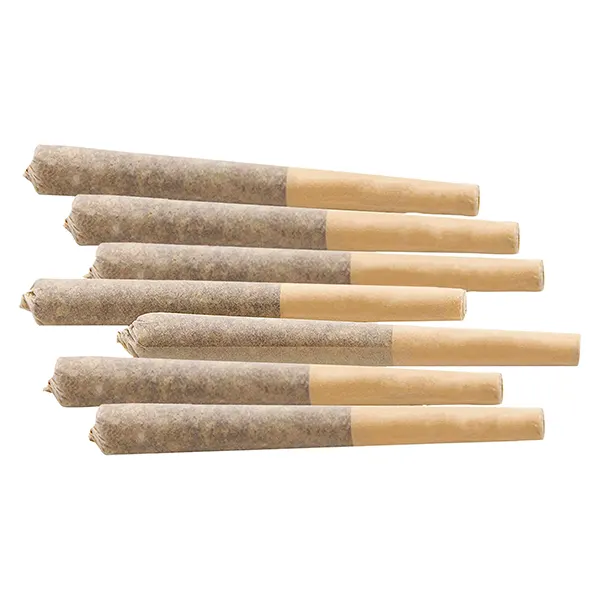 Image for Nostalgia Craft Infused Pre-Roll, cannabis all products by LoFi