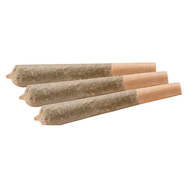 Image for Notorious THC Pre-roll