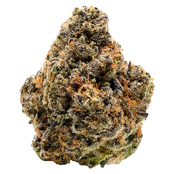 Image for Notorious THC