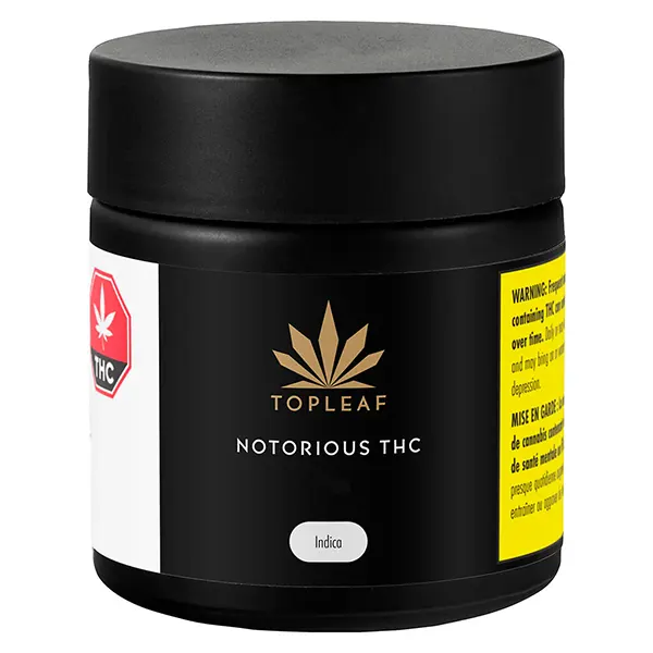 Image for Notorious THC, cannabis dried flower by Top Leaf