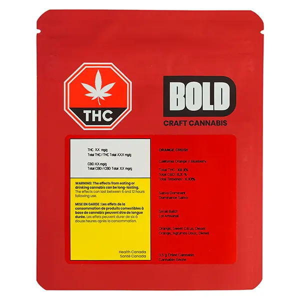 Orange Crush (Dried Flower) by BOLD