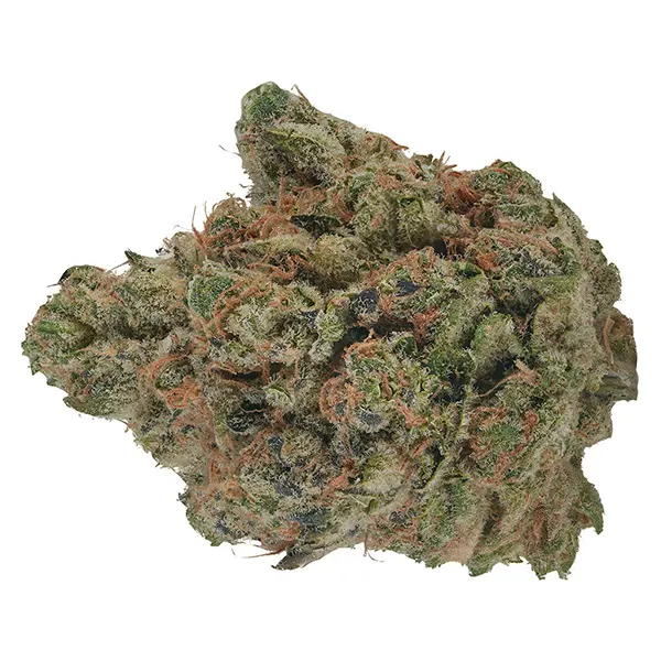 Image for Orange Turpentine