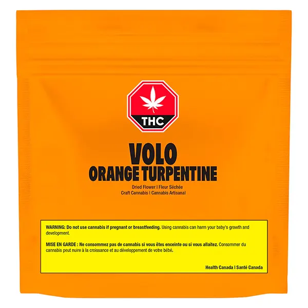 Orange Turpentine (Dried Flower) by Volo