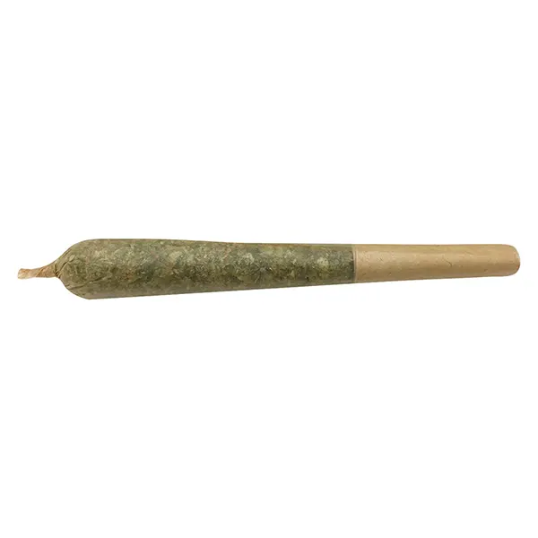 Image for Oreoz X Orange Punch Pre-Roll