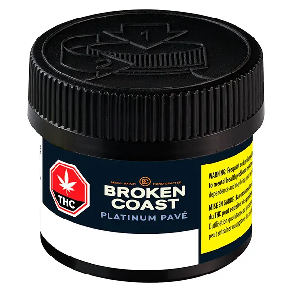 Platinum Pave (Dried Flower) by Broken Coast
