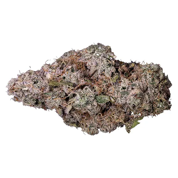 Image for Porto Leche