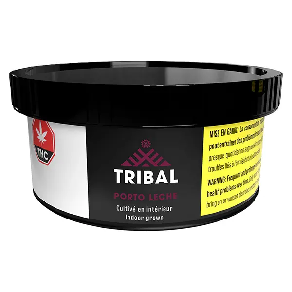 Porto Leche (Dried Flower) by Tribal