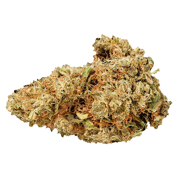 Image for Purple Afghani