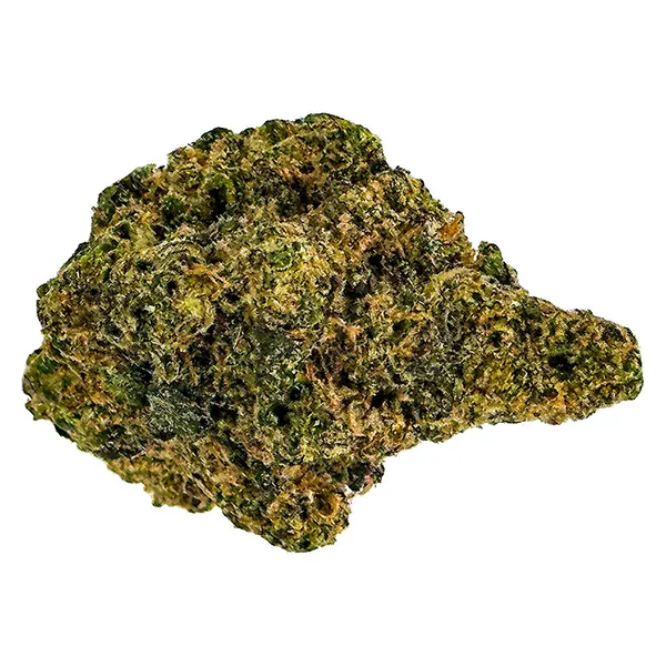 Image for Purple Caviar