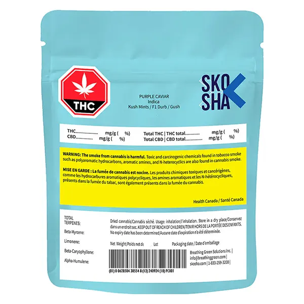 Purple Caviar (Dried Flower) by Skosha