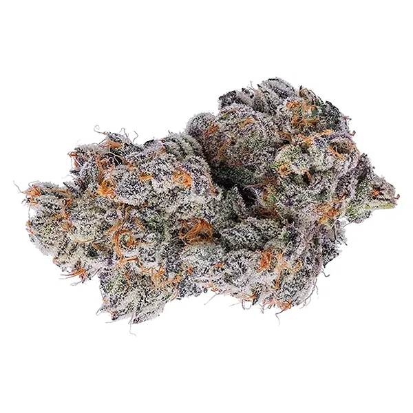 Image for Purple Zushi