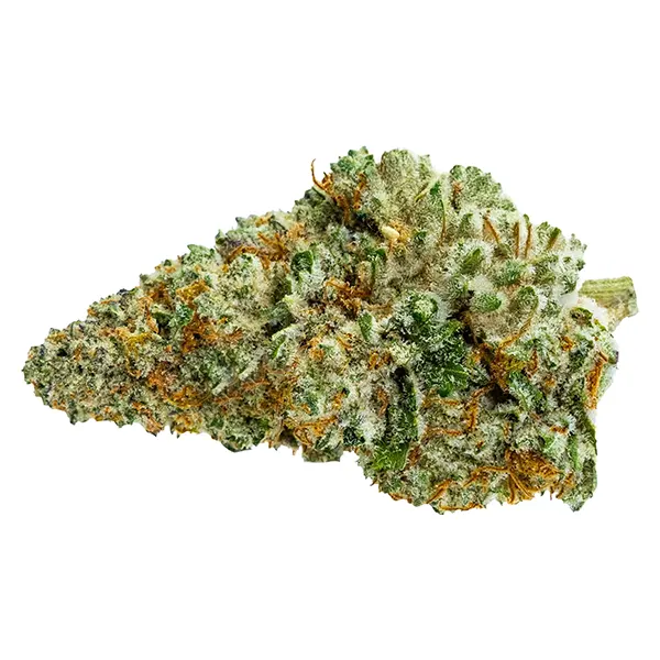 Bud image for Queen Green, cannabis all products by Pure Sunfarms