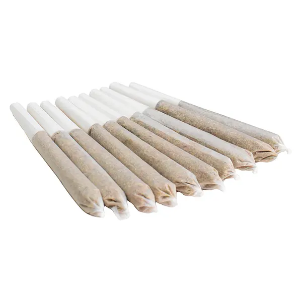 Image for Rainbow Pave Pre-Roll