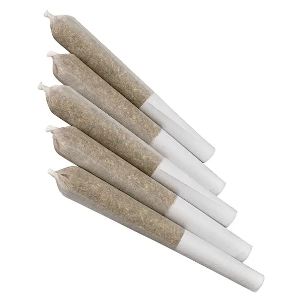 Image for Red Rozay Pre-roll