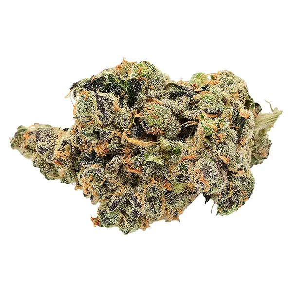 Image for Burner Phone Special