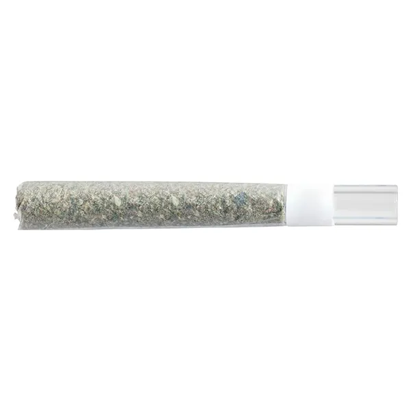 Image for Rosin Roll Glass Tip Infused Pre-Roll